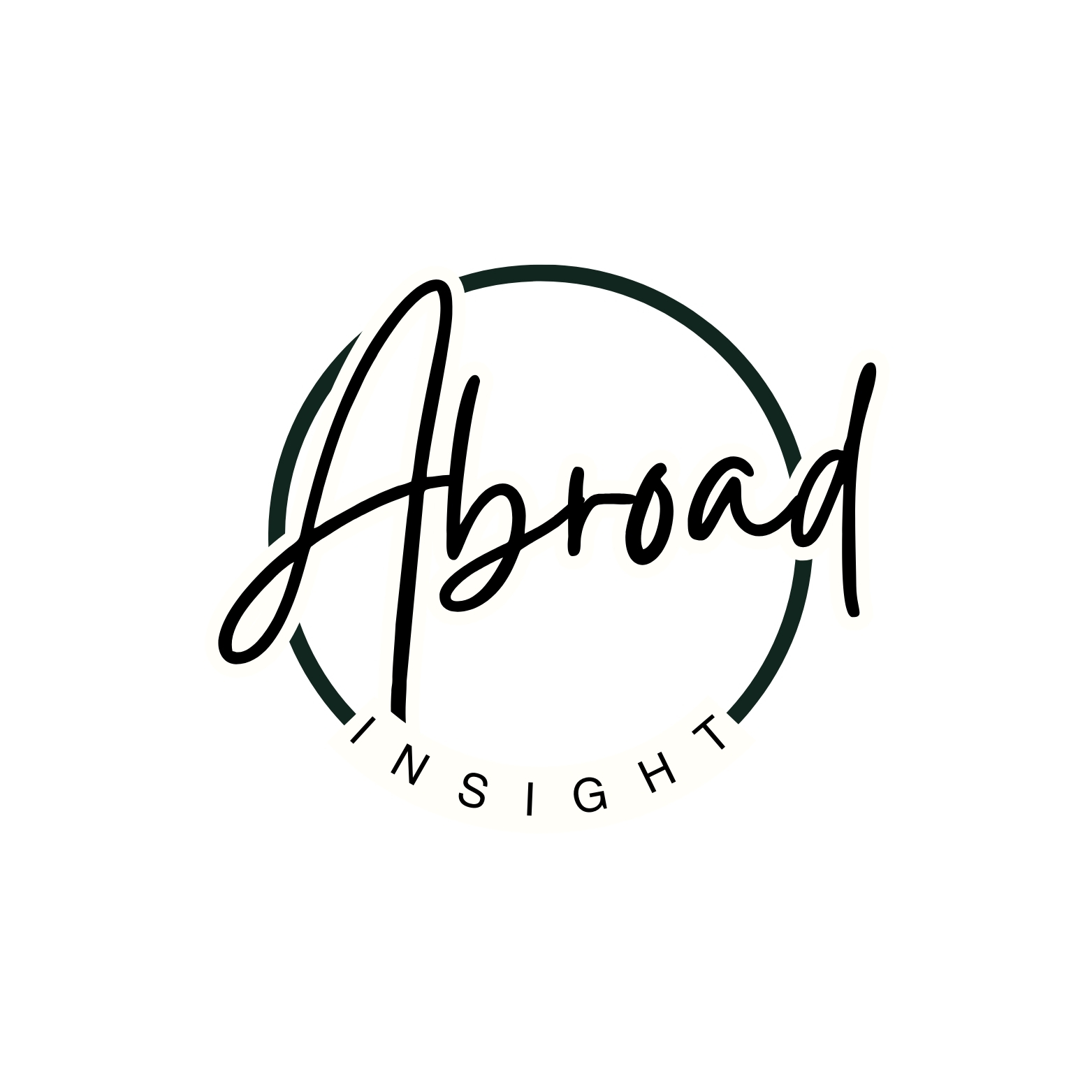abroadinsight.org